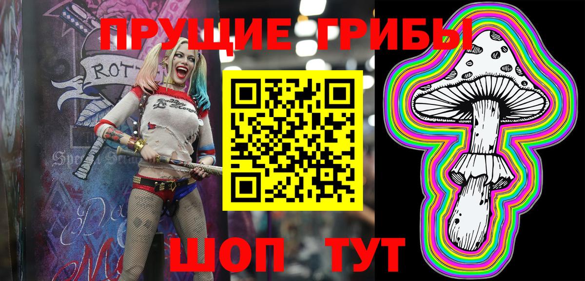 наркота  Вход с VPN  Королёв  Псилоцибиновые грибы MAGIC MUSHROOMS 